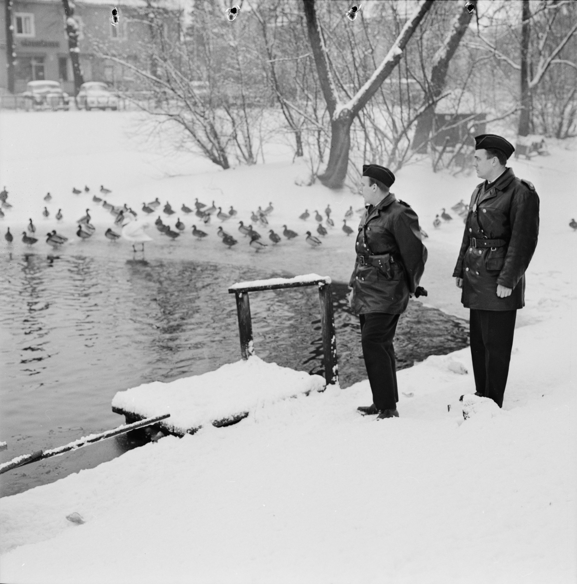 Svandammen - "polishjälp mot kalla andfötter", Uppsala 1961