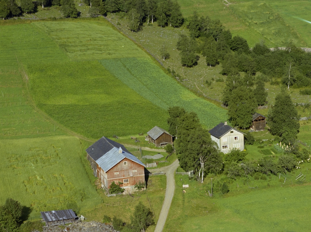 Gårdsbruk Alme, malingsslitt rød driftsbygning, hvitt våningshus og to brune uthus med dyrket mark rundt.