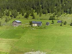 Kulturlandskap. Gårdsbruk. Gamle, umalte hus. Kjøkkenhage. L