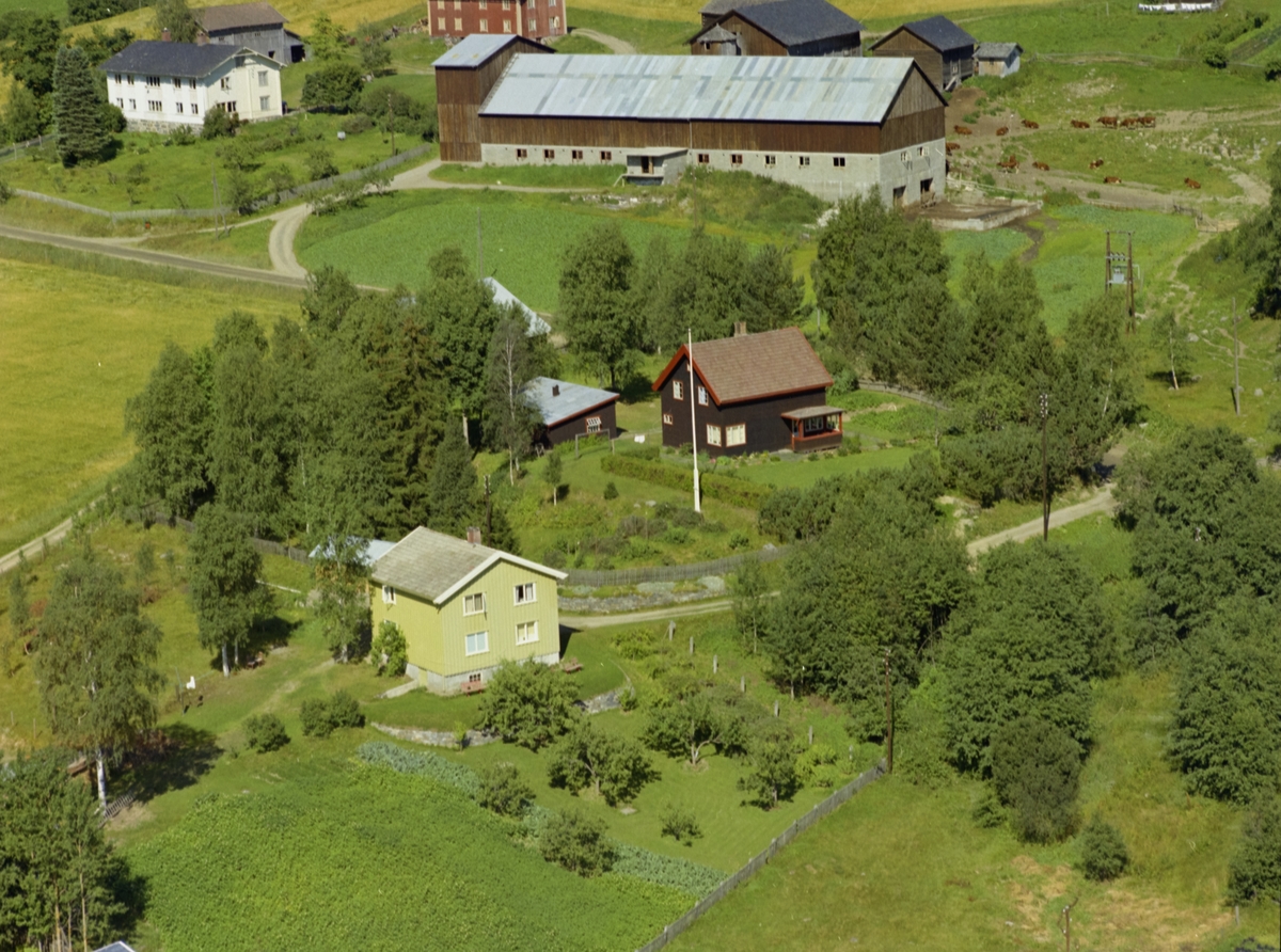 Bjørke. Enebolig ved Leikvam.