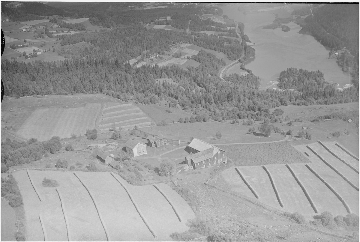 Bjørnstad nedre, Tretten, Øyer, 28.08.1953, oversiktsbilde, gårdsbruk, høytliggende, hesjing, kulturlandskap, Lågen til høyre