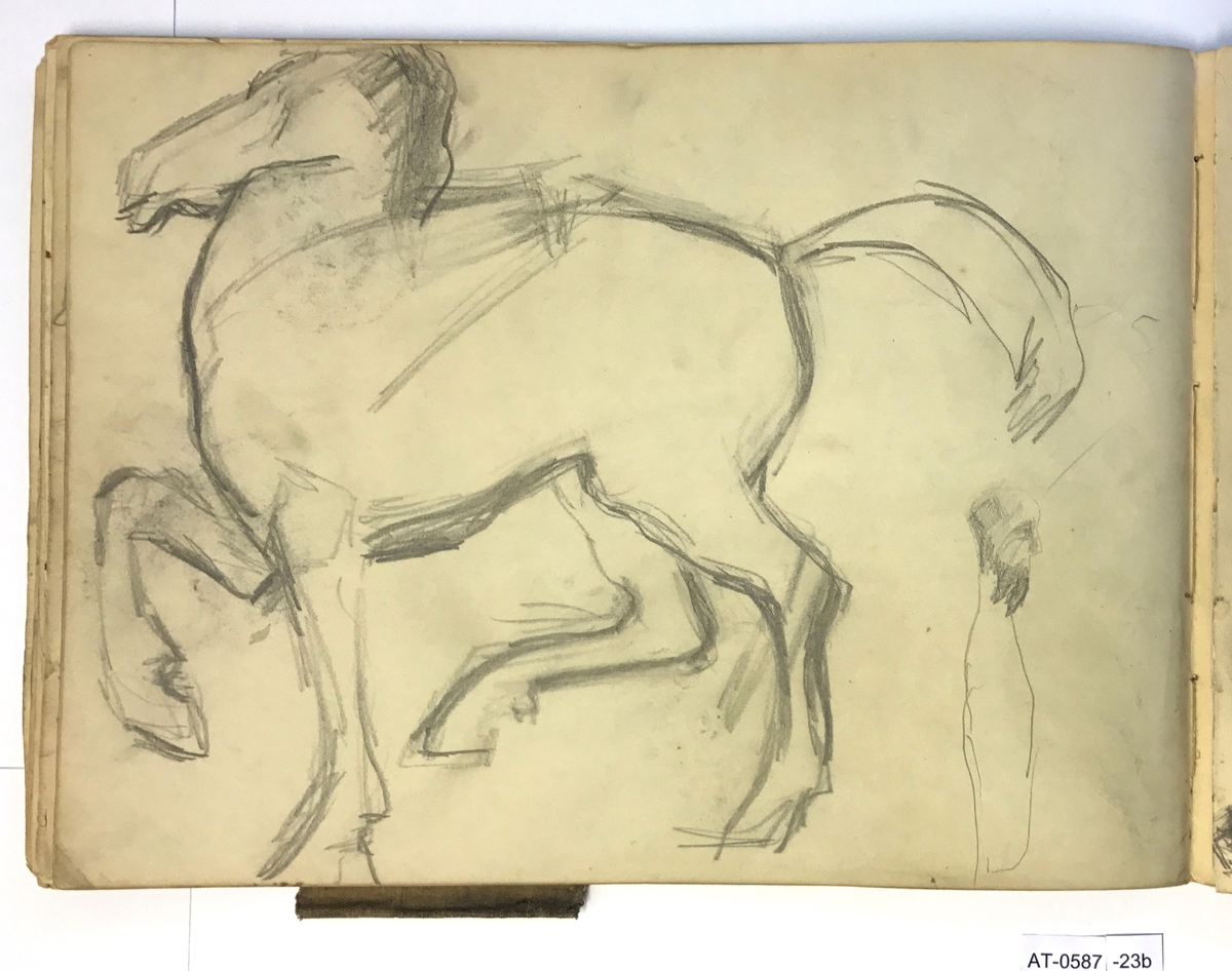Hest og mann med skjegg [Tegning]