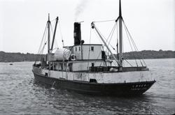 M/S Løven I (Ex.  D/S, Gyldenløve III, Alf, Lidköping, Birge
