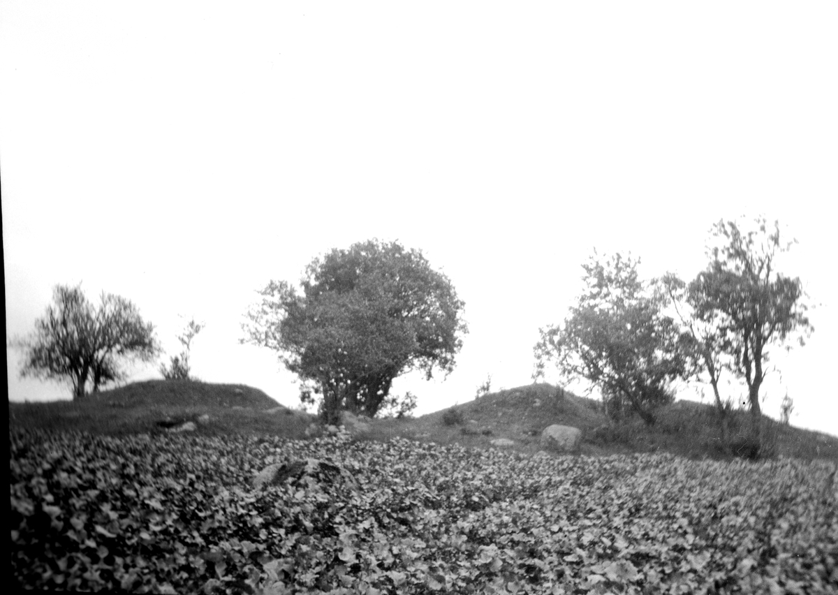 Vartofta gård, nu frånsåld del. Två gravhögar varav den högra undersökts 1876 av Montelius och Retzius. Innehöll en mycket liten gånggrift.