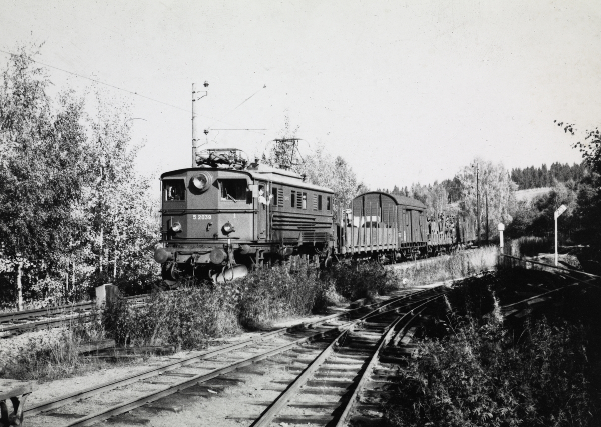 Godstog på Kongsvingerbanen trukket av El 5 2039 passer Bingsfoss.