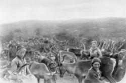 Almetjedåehkie/ gruppe