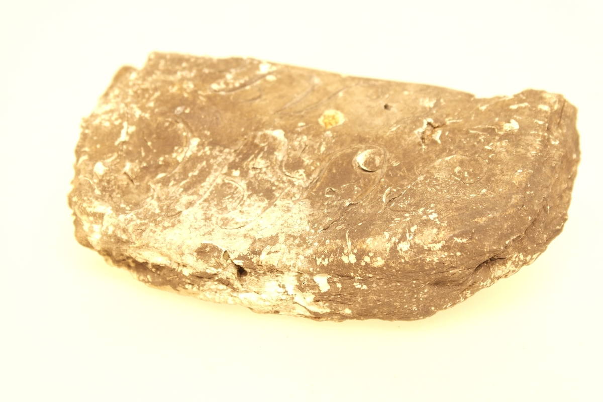 Knivkjuke (sopp), som vokser på trestammer. Brukt som "nålepute" for kniver. Initialer skåret inn.