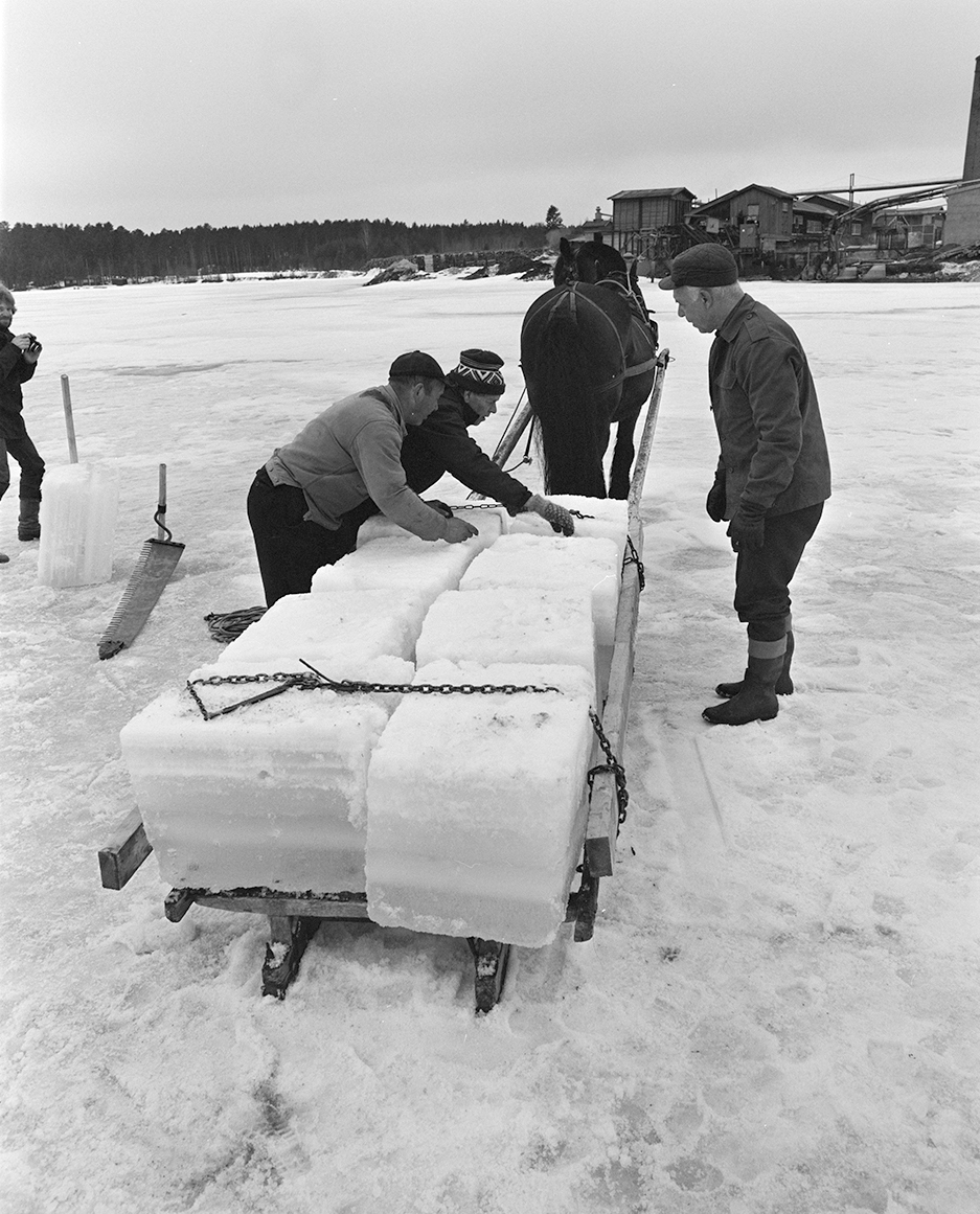 Isskjæring, Rokosjøen, Løten. Lasting av isblokker på slede, lasset sikres.