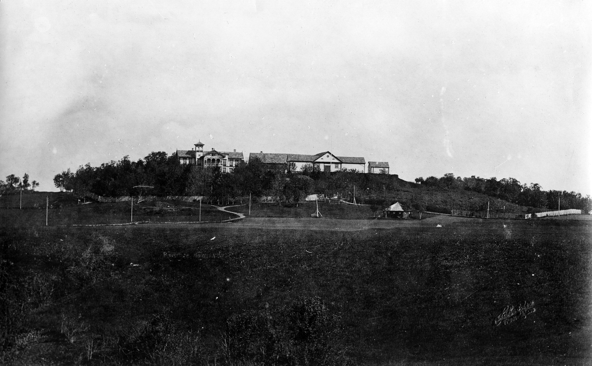 Bilde av Ringve gård sett fra syd, med hovedbygningen.