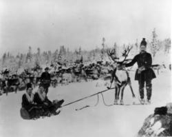 Almetjedåehkie/ gruppe