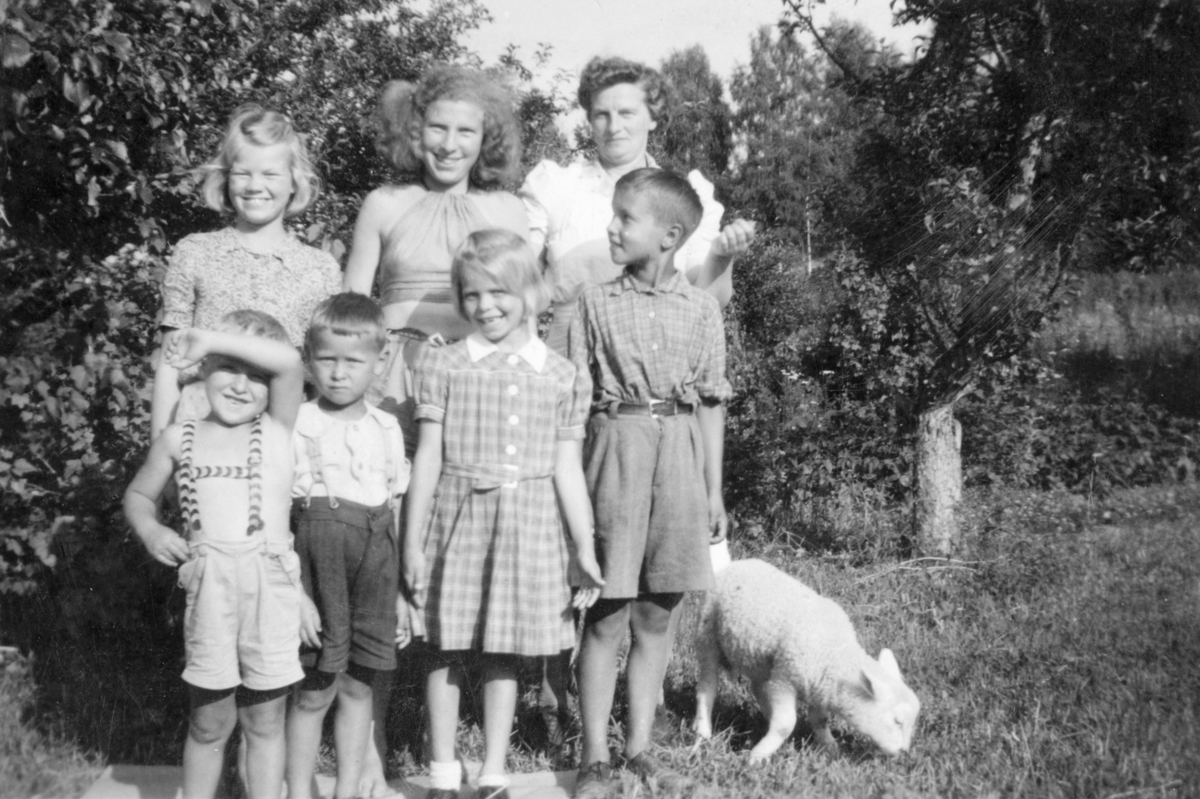 Voksne og barn i Skogly, Helgøya. Bak fra venstre er Mary Synnøve Lindby f. 1934, Solveig Hansen ?, Thora Lindby (1906-1972). Foran fra venstre er Arne Pedersen, Kåre Haugli, Tove Pedersen, Peder Haugli og kopplammet Pelle.