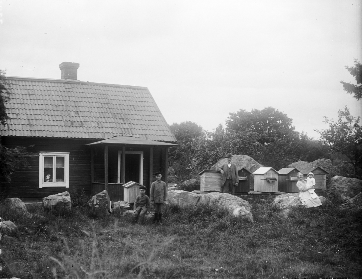 "A. E. Tärner Almossen med stugan och bigården", Simtuna socken, Uppland 1922