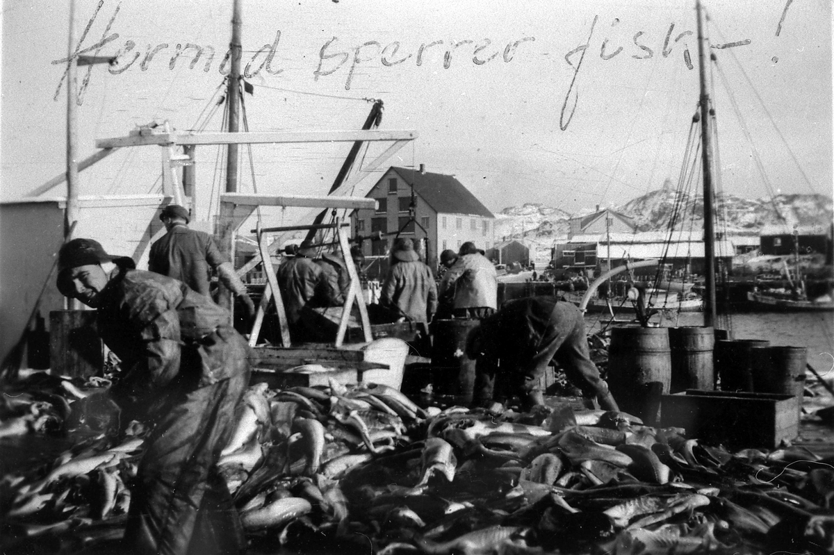 På Lofotfiske i 1950årene. En av mannsskapet er Hermod Karlsen Stonglandseidet.