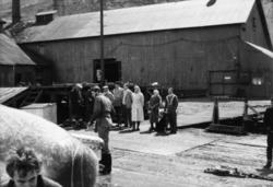 Foto fra Grytviken i Sør-Georgia, og fra en norsk hvalstasjo