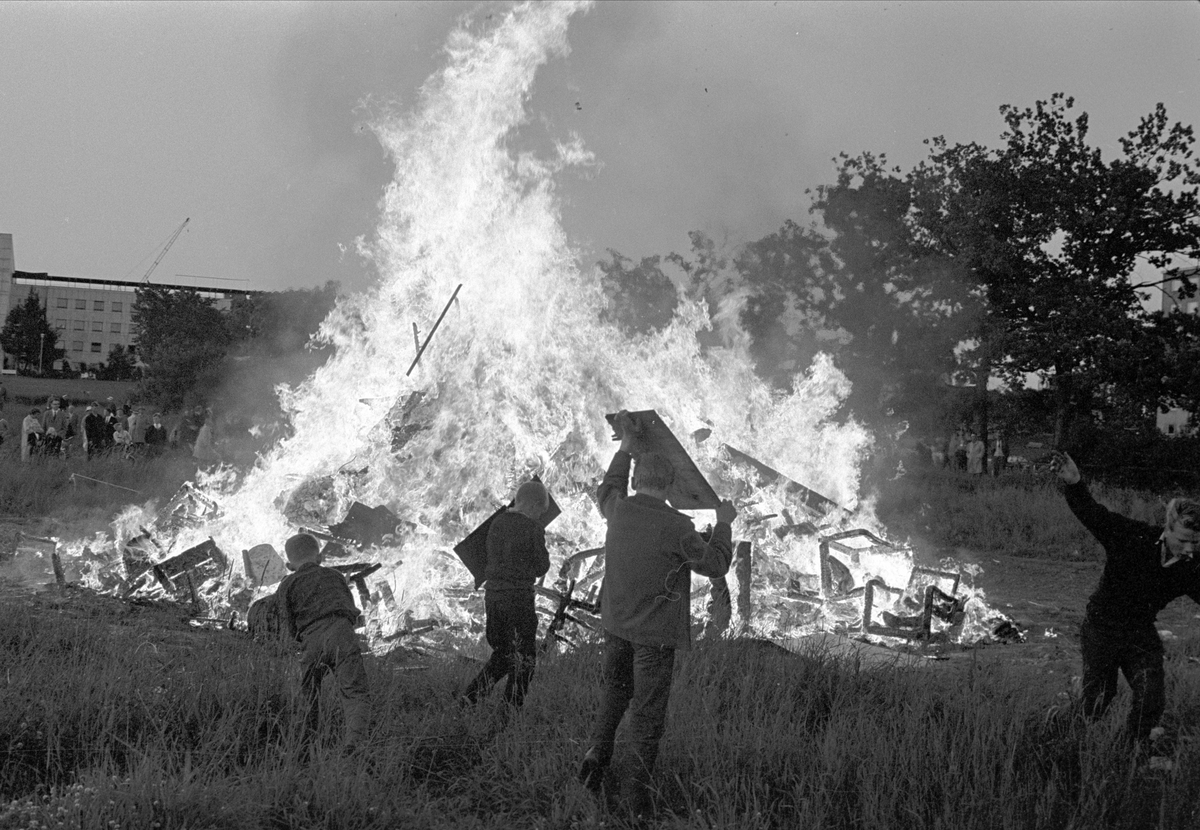 Serie. Gutter ved st. hansbål, Marienlyst, Oslo.