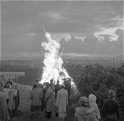 Serie. St. Hans-feiring i park i Oslo. Fotografert juni 1957