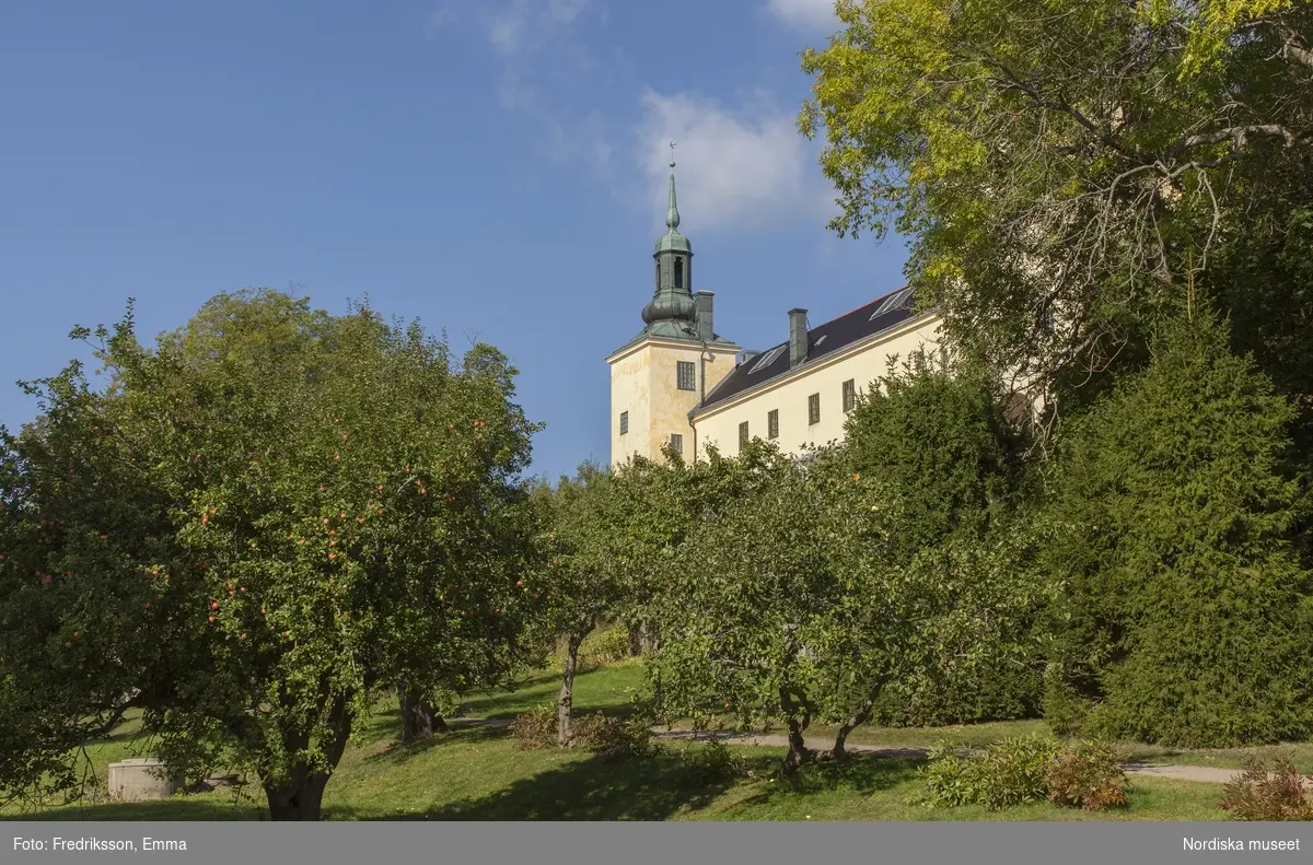 Tyresö slott, Nordiska museet, slott, gods, Tyresö, natur, äpple, höst, sol, byggnad, arkitektur
