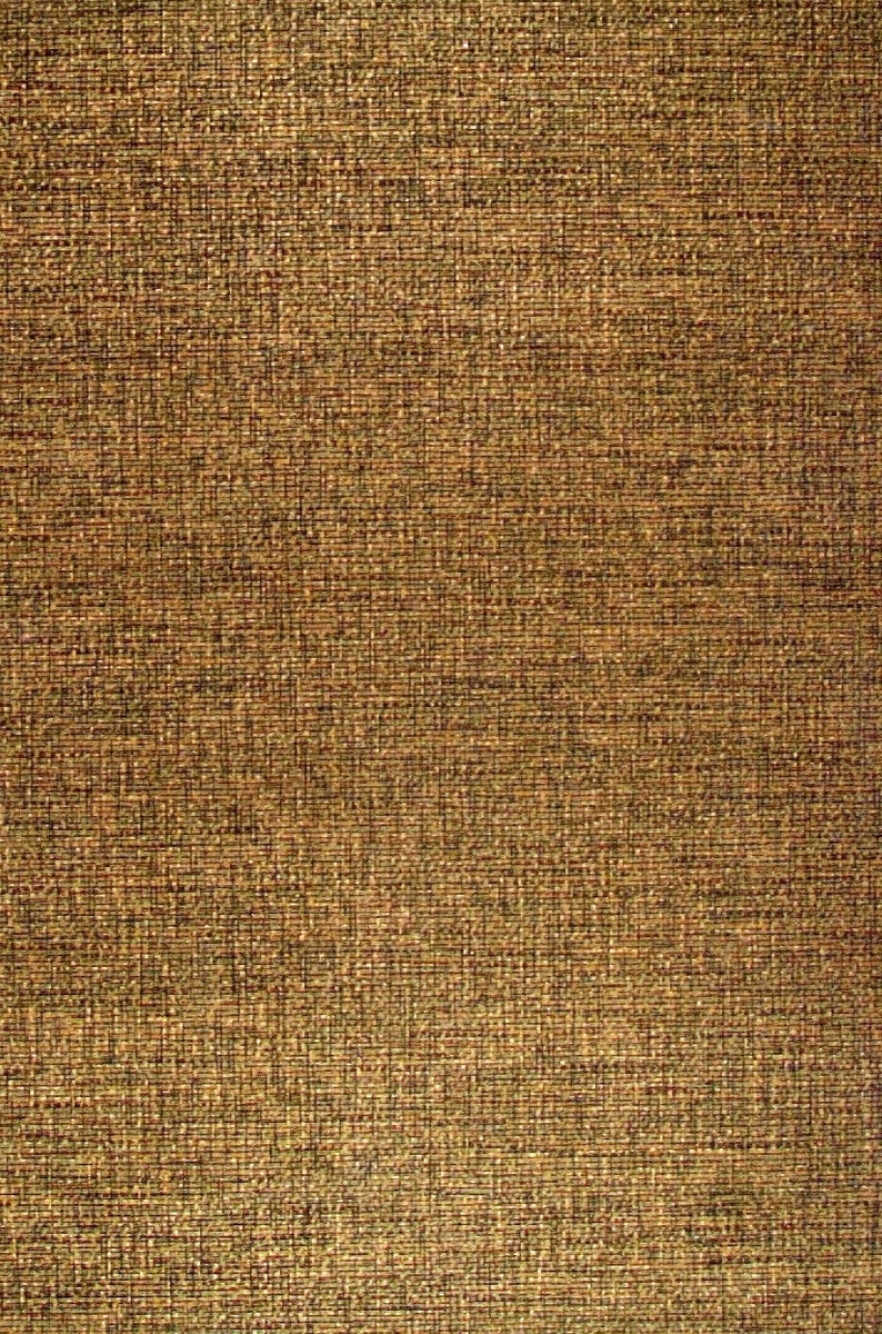 Ett textilimiterande mönster i guld och grönt samt i två bruna nyanser.



Tillägg historik:
Tapet från gårdsmagasinet på Bråborgs kungsgård - Norrköping.
Tapeten finns i den nuvarande salongen.
