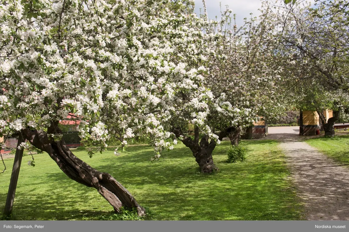 Svindersvik Exteriörer Nordiska museet Grill. - Nordiska museet ...