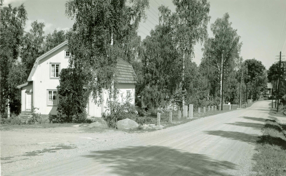 Ett bostadshus vid björkar bredvid en grusväg.
