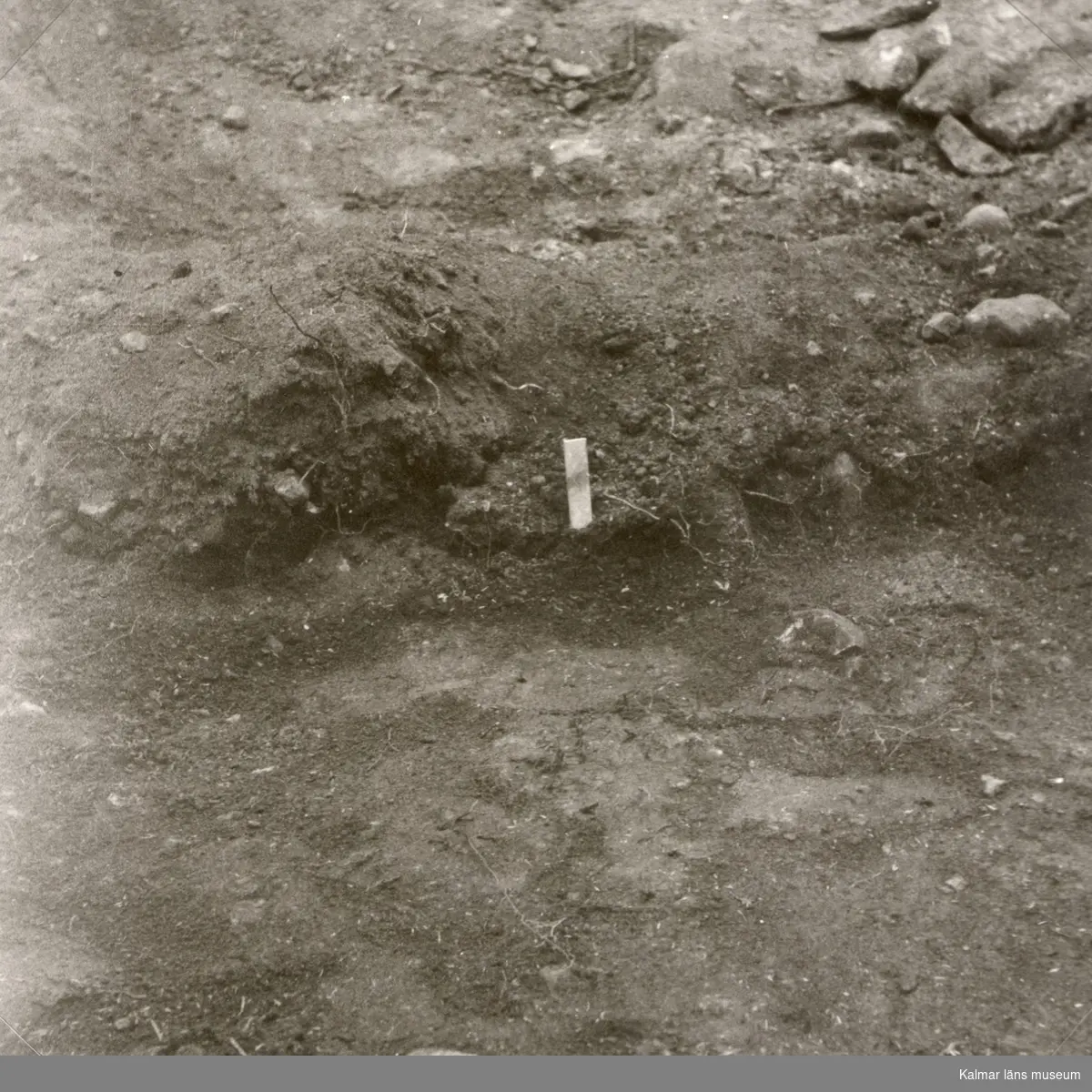 Från arkeologisk undersökning 1961. Pinnen utmärker förekomst av järnutfällning i stensträngen.