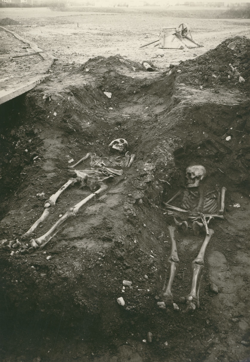 Två skelett funna i Kalmarsundsparken vid utgrävning.
