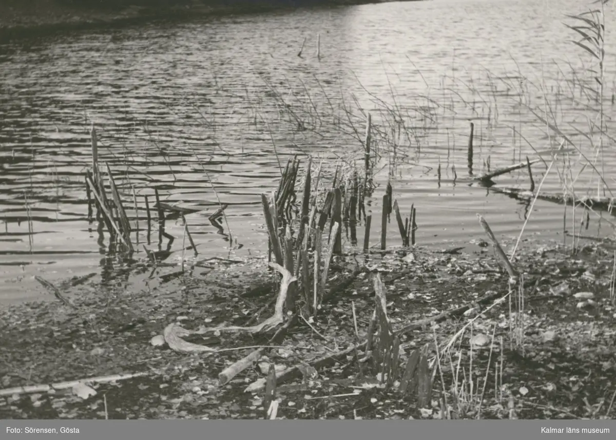 Fynd av rester av fiskeanordning vid lågvattnet somm. 1959.