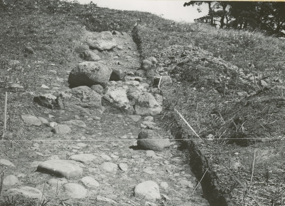 Schakt A-B från sydväst. Nedanför skansen tycktes man vid avtorvningen kunna skönja delar av en stenmur. Denna kunde dock ej följas längre sträckor.