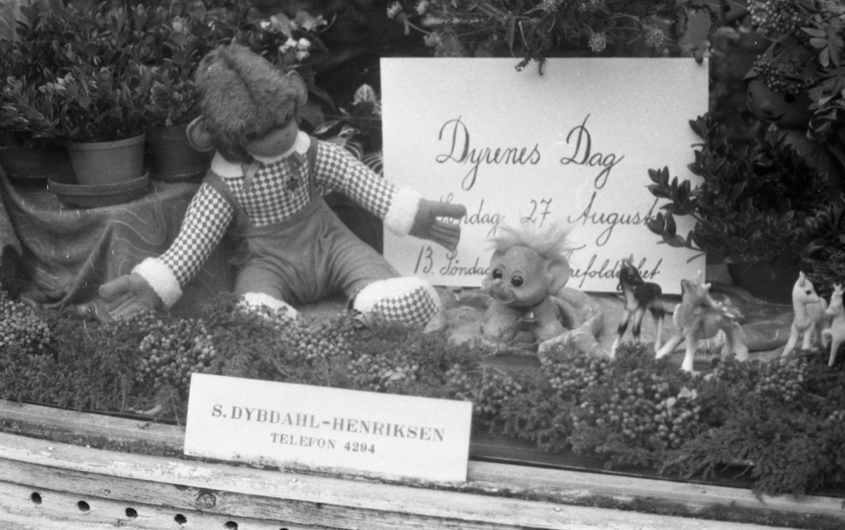 Blomsterbilder - Dybdahl Henriksen - 4/5-1972.