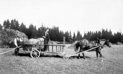Høykjøring med hest og høyvogn ca. 1922. Gården Taraldrud 48