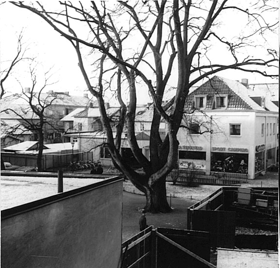 Enligt texten på bild B145050:137 blev denna ek, av allmänheten kallad Karlgrens Ek, pga att han lätt utverka att eken blev fridlyst.
Detta räddade inte eken utan den torkade sakta  ut, troligen pga den bebyggelse som skedde i närheten av trädet.

Arkitekt E. G. Karlgren.