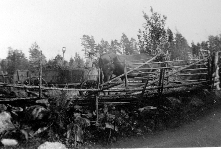 Thure Elgåsen. f. 26/6 1910. d. 6/9-1985. 
Tivedenkännare, konsthantverkare, scoutledare och hembygdsföreningsman.
I övrigt se personarkiv i Västergötlands museum, Skara.