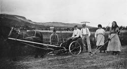 Slåttonn, personer, hest, vogn, river.