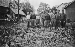 Personer, klær, åker, bygninger. 
Markdag, grønnsaksfeltet 