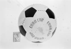 Norske Legio, Opptak av leker