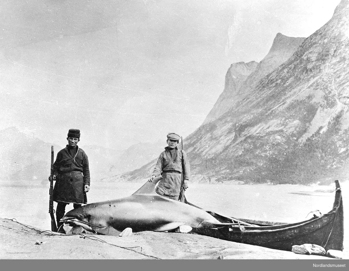 Fra Langnes i Sørfjorden. To samer har skutt en hval. Petter (t.v.) og Keira Nilsen Koljok. De har skutt en springer. De bodde på Langnes, men familien kom fra Tysfjord. NGO K 12-69