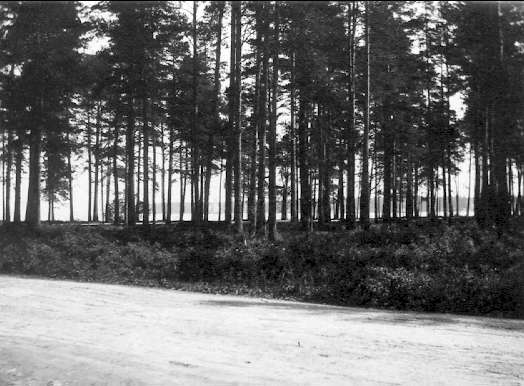 Karlsborg Strandvägen. Fotot taget i början på 1900-talet.