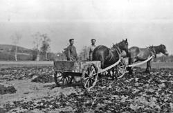 Hester, kjerre, personer, naturforhold, Opprydding etter sto