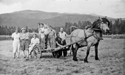 Høyonn, hest, skrinvenger, personer.