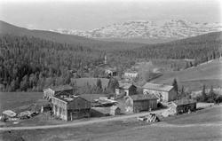 unkervassgården,ffiskehonk,geitebukk.