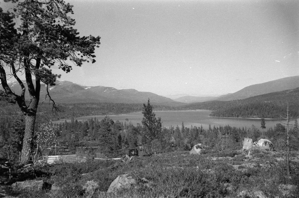 Naturbilder fra Kjerringvatnet. - Helgeland Museum / DigitaltMuseum