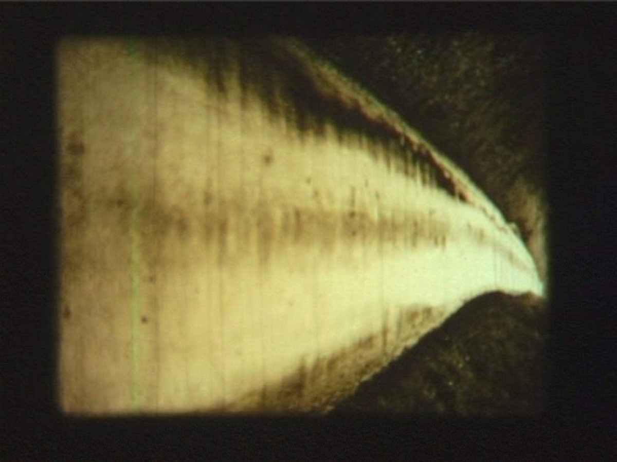 Down the Lane and Back Again [Film]