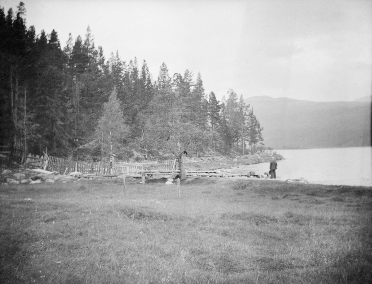 Dyrka mark og furuskog ved stort vatn. Mann står ved vatnet.