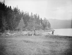 Dyrka mark og furuskog ved stort vatn. Mann står ved vatnet.