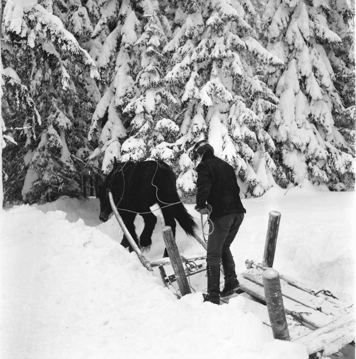 Söderlund Göte,
Skogskörning vid Grannäsvägen,
9 Febr 1966