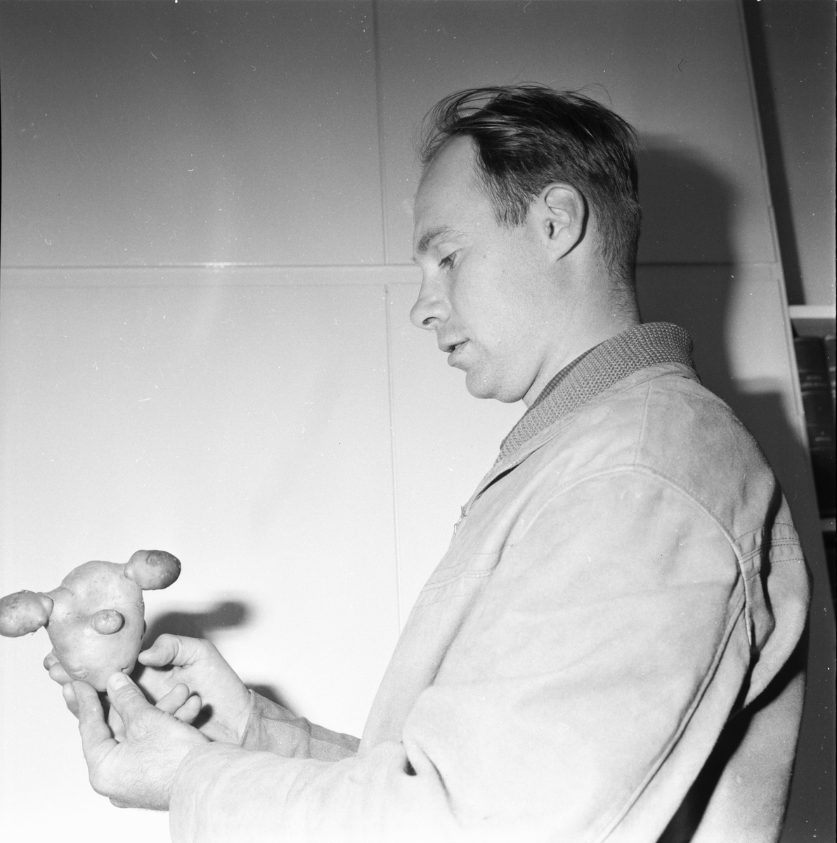 Palmborn Olle med potatis.
29/9-1965