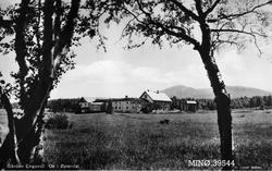 Gardsbruk Engåvoll, Os