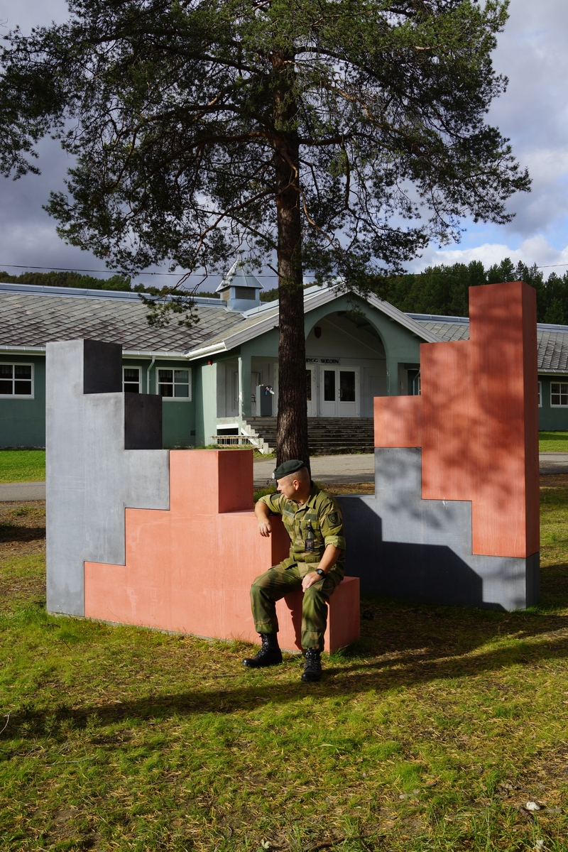 Fire elementer i betong med innstøpt pigment satt sammen til to frittstående skulpturer, og som kan både brukes til trening og å sitte på.