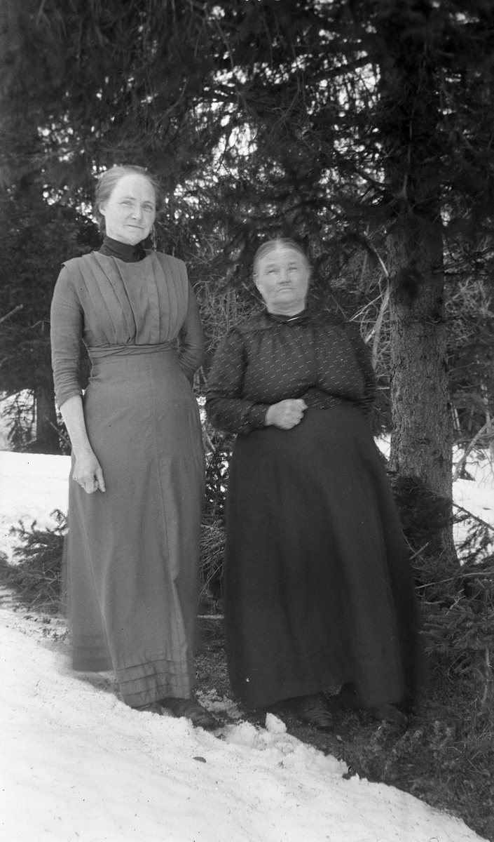 To velvoksne kvinner i helfigur. Til høyre trolig Anna Margrethe Evensdatter fra Sanden søndre, Kraby, Østre Toten. Til venstre kanskje en av hennes eldste døtre, Berthe Marie eller Maren Emilie, men dette er svært usikkert.
