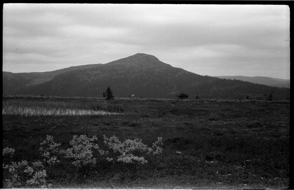 To landskapsbilder fra Gausdalfjellet, August 1939.